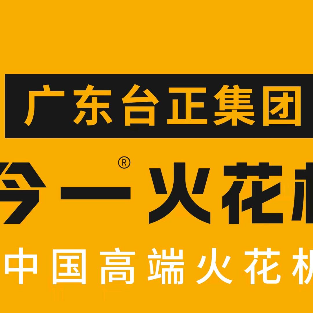广东台正集团-阮生