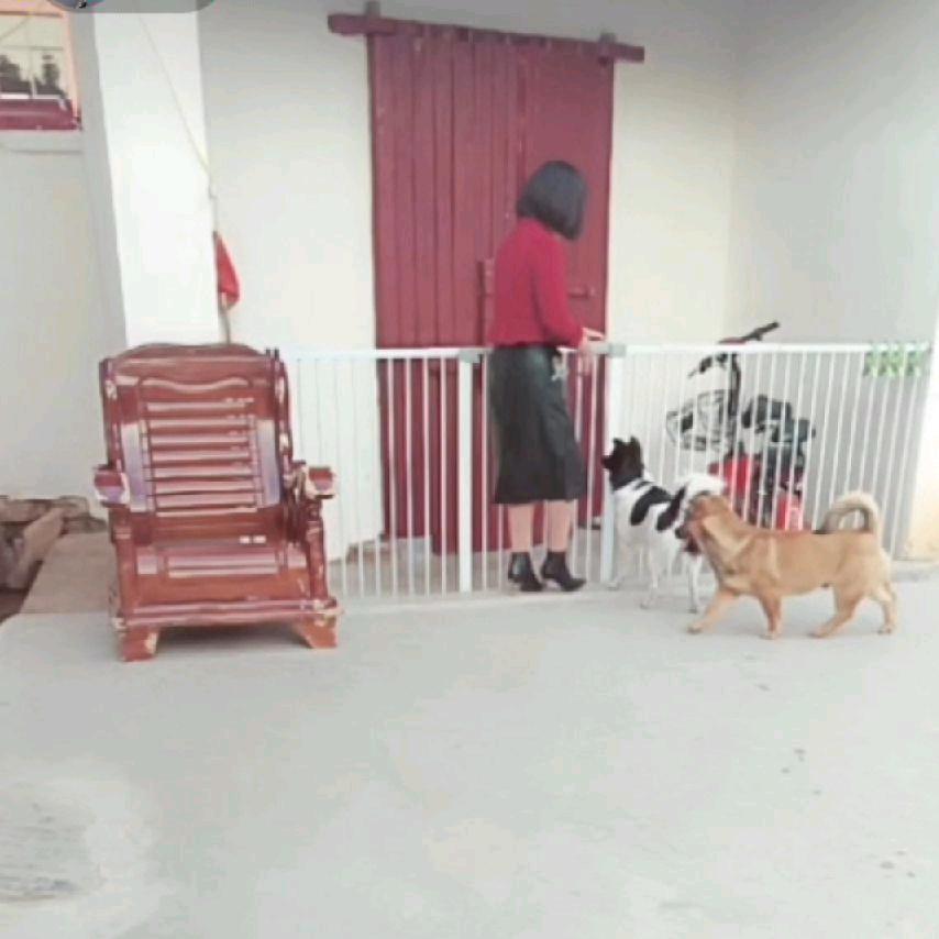 八妹.
