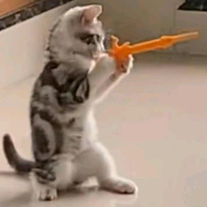 qbhhh