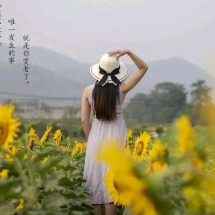 暖树｡･ω･｡