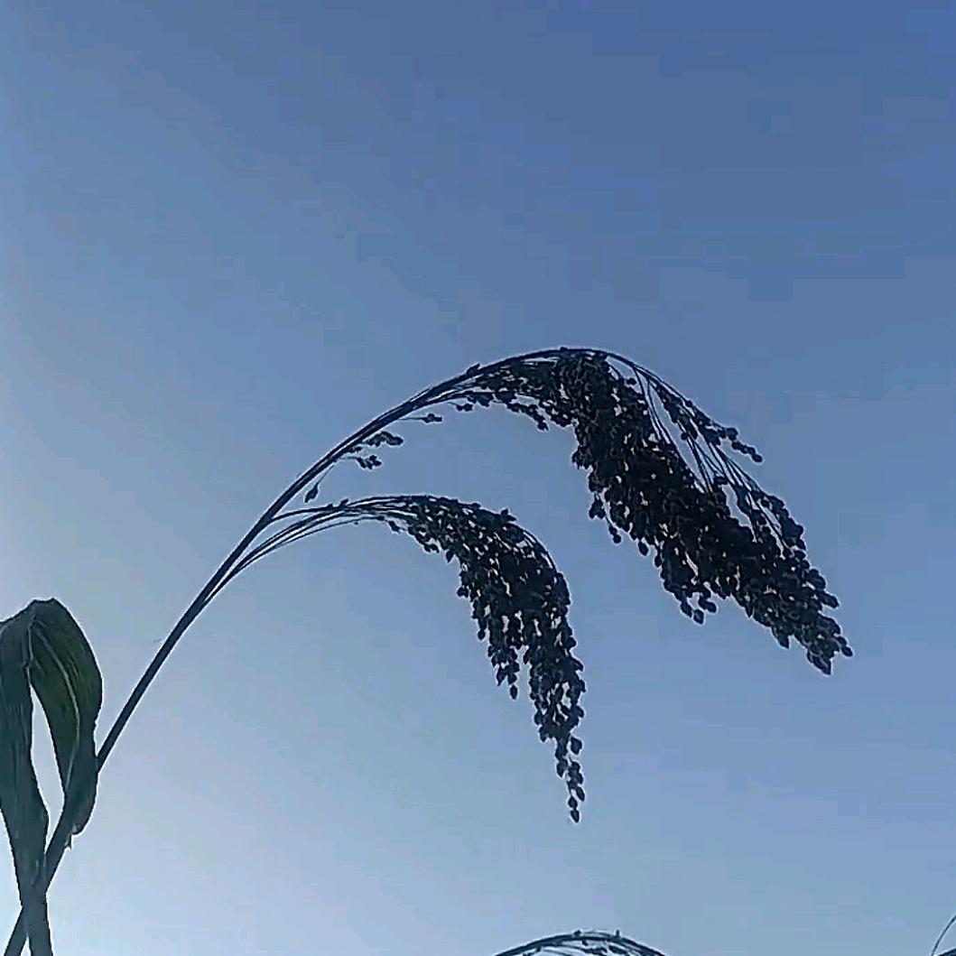 在等我