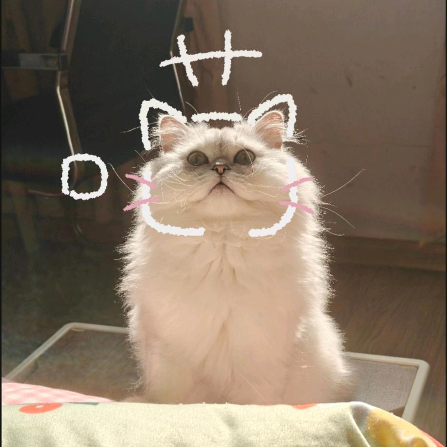 妮妮諗.