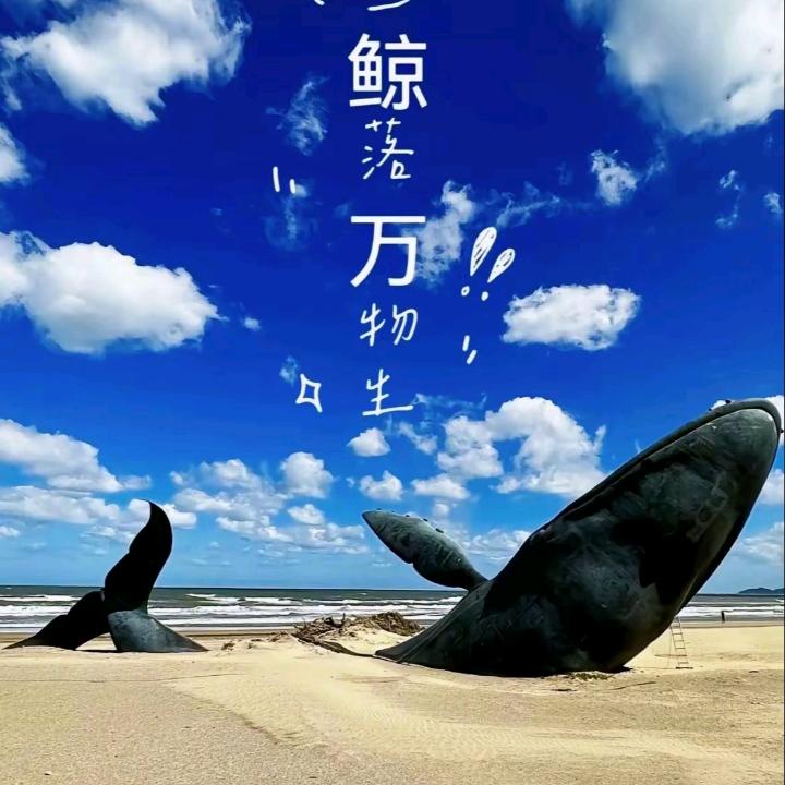 孤独的鯨🐋
