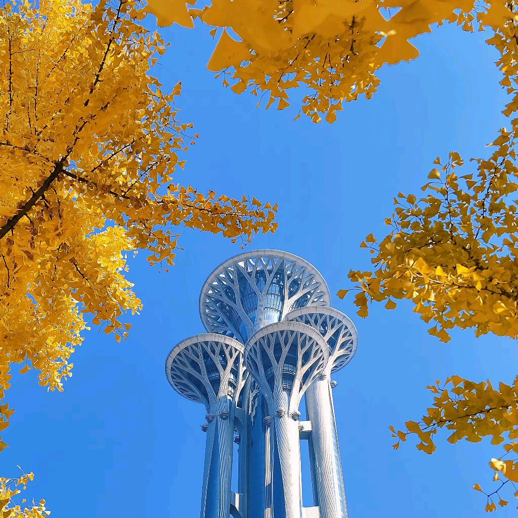 🌈余生爱自己🍊