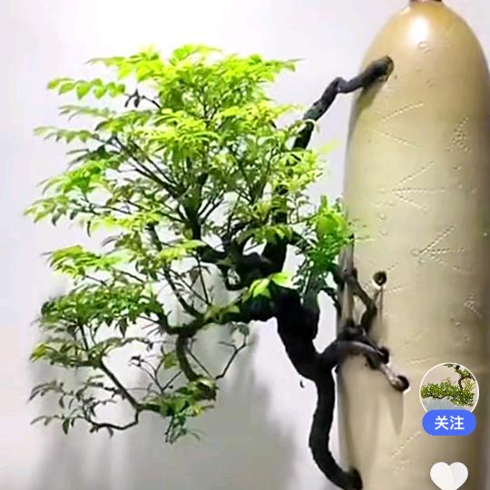 一生何求