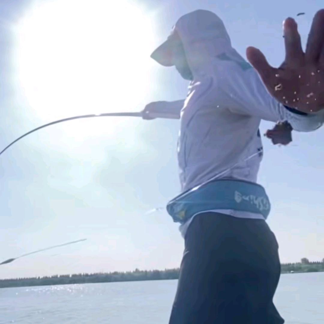 国家一级喂鱼大师🎣