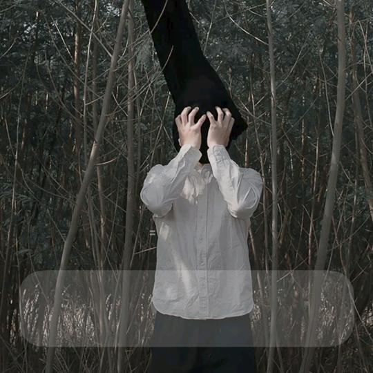 秦枫、（音乐.王者）