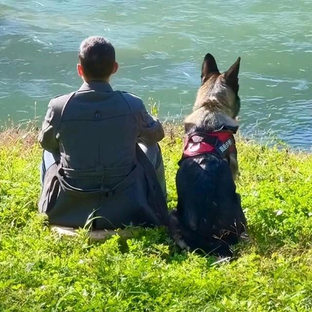 养狗的王先森（明胜犬舍）