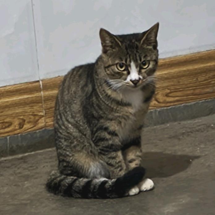 取舍