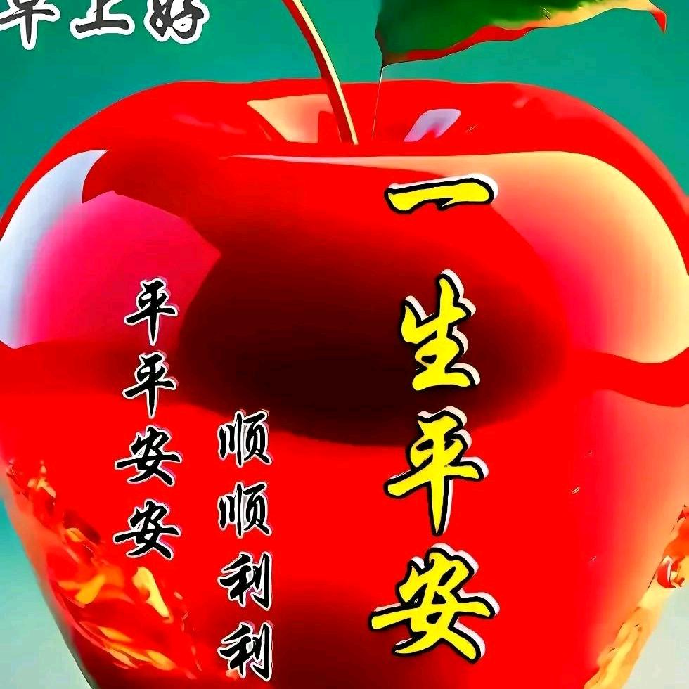 花的海洋
