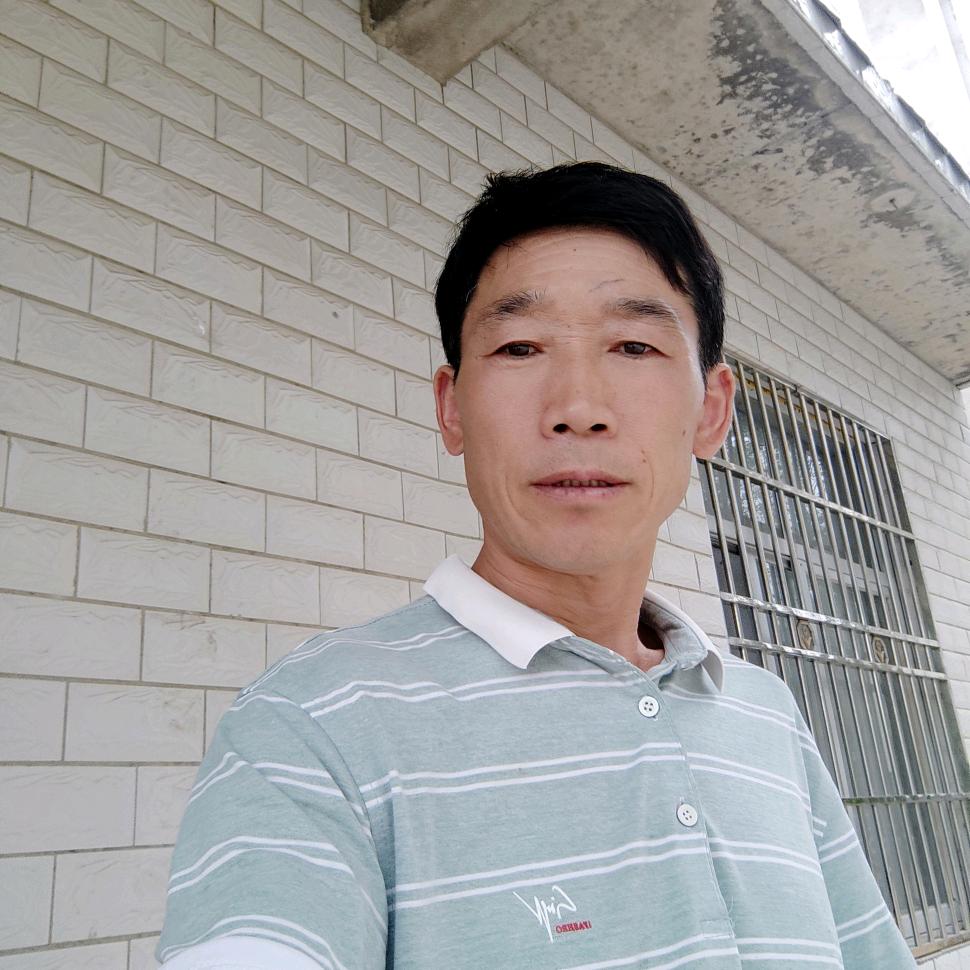 爱你无悔