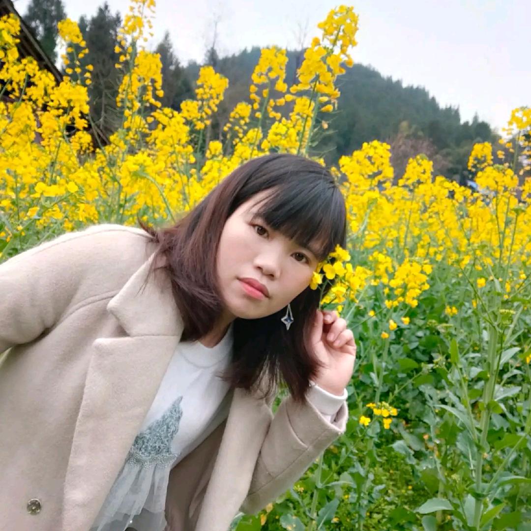 燕子园艺环保绿植基地