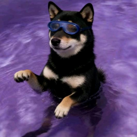 蘫