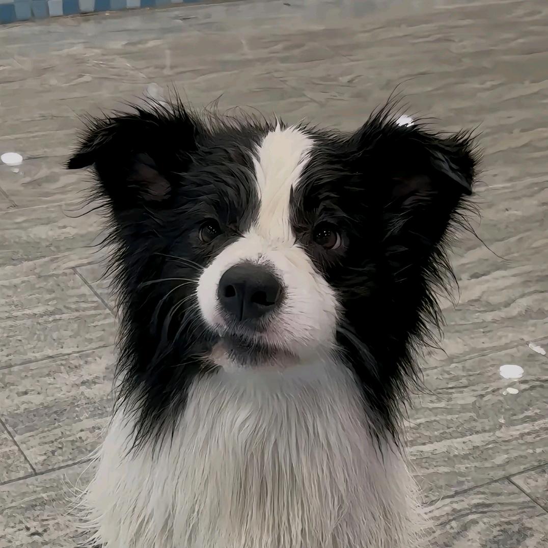 Sleep（老师们不要连赞作品会被限流）