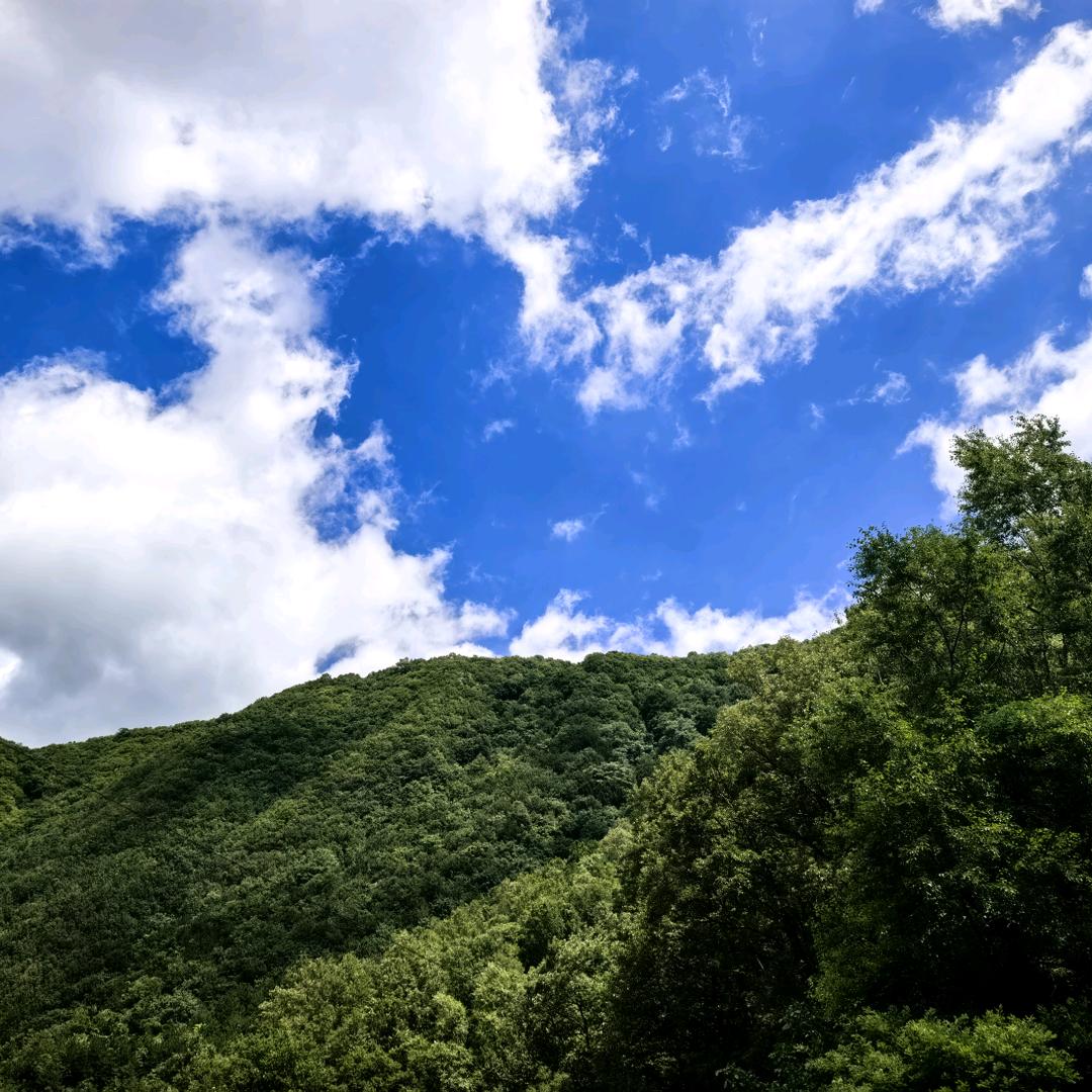 西安探房小韩