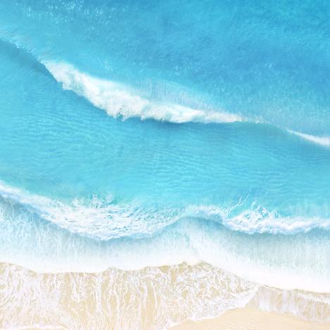 高级社员《杨家军》