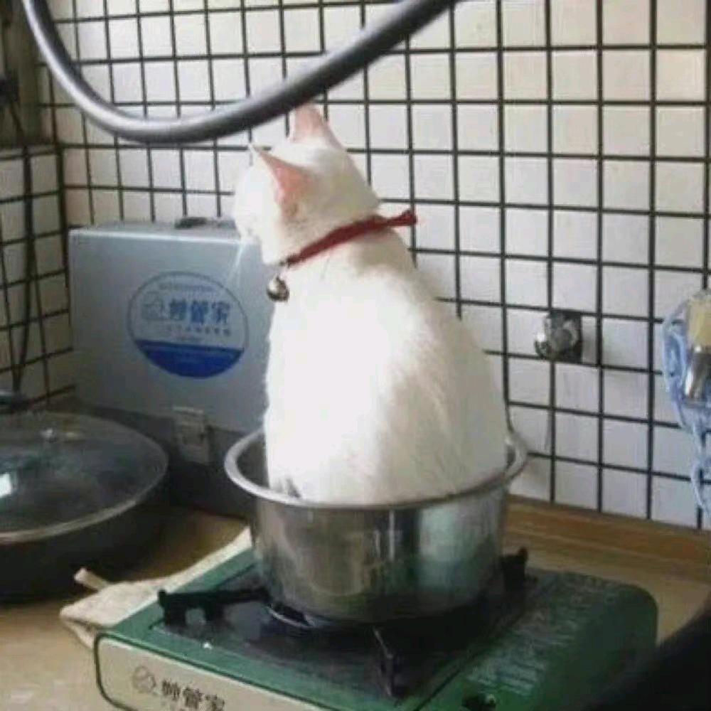 叶逍不爱吃夜宵