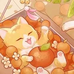 数码小K