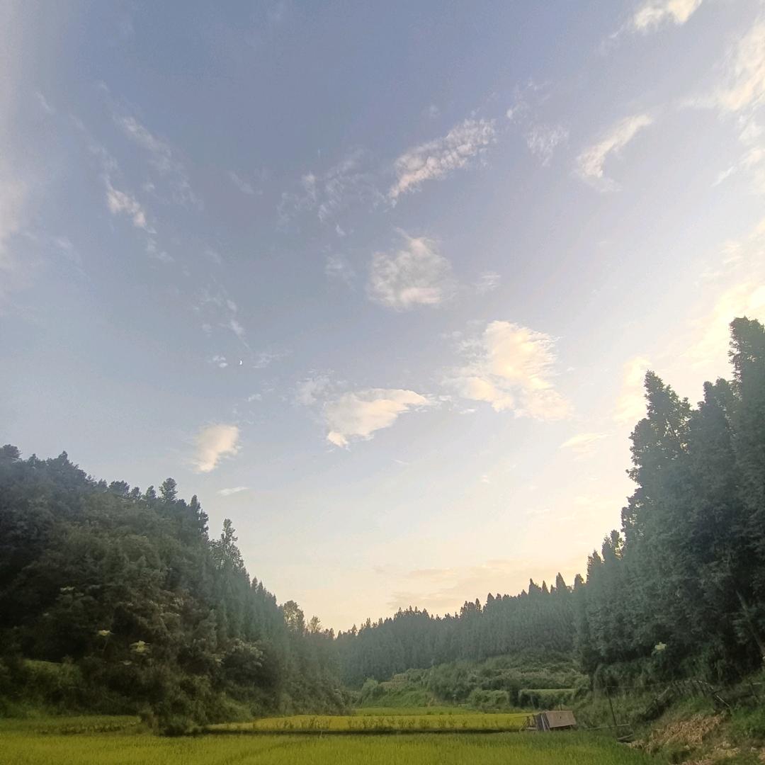 (*◑∇◑)☞强哥☜(◐∇◐*)