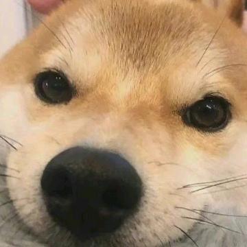 卖车隆隆