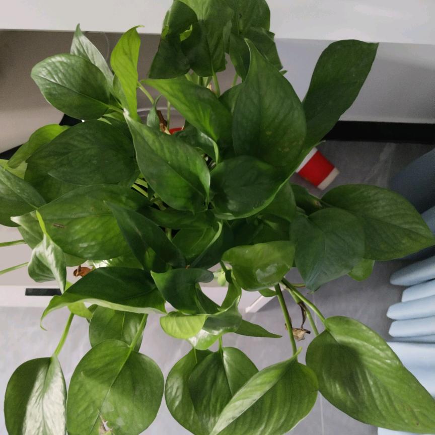 等待下一站幸福