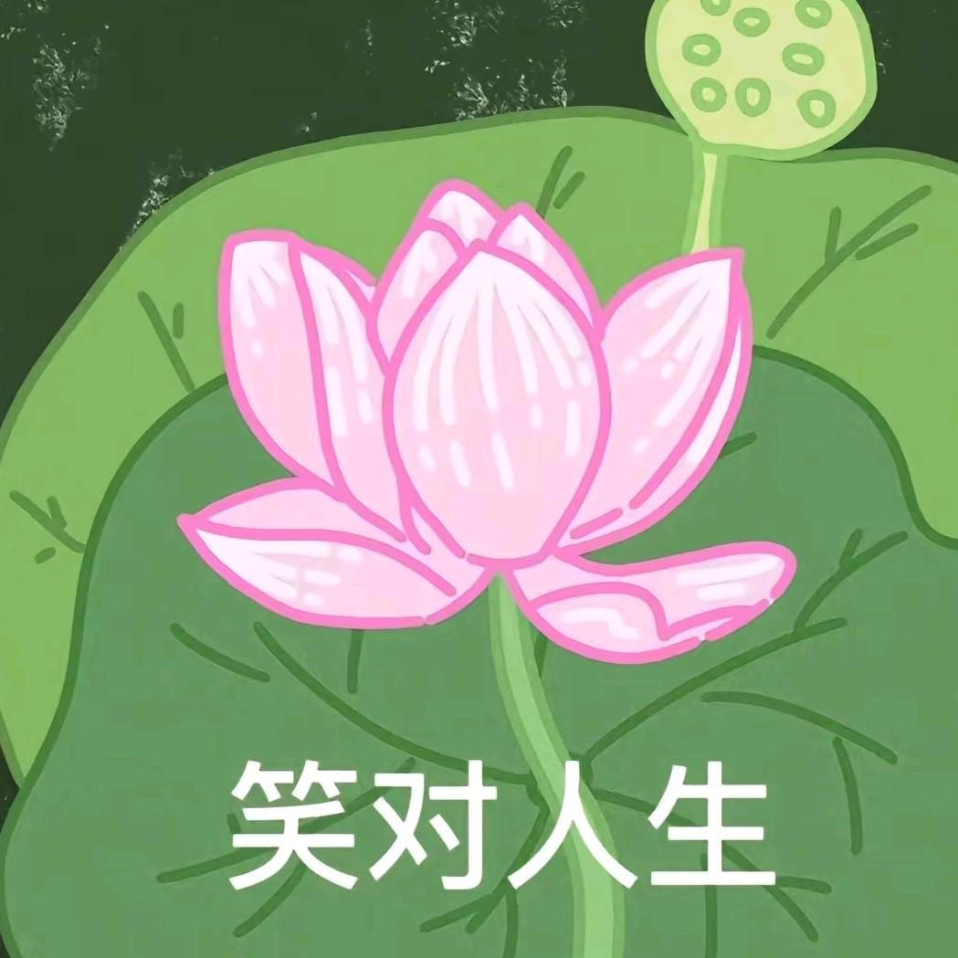 A善战的狼_超级无敌宇宙第一孤身上岸大王