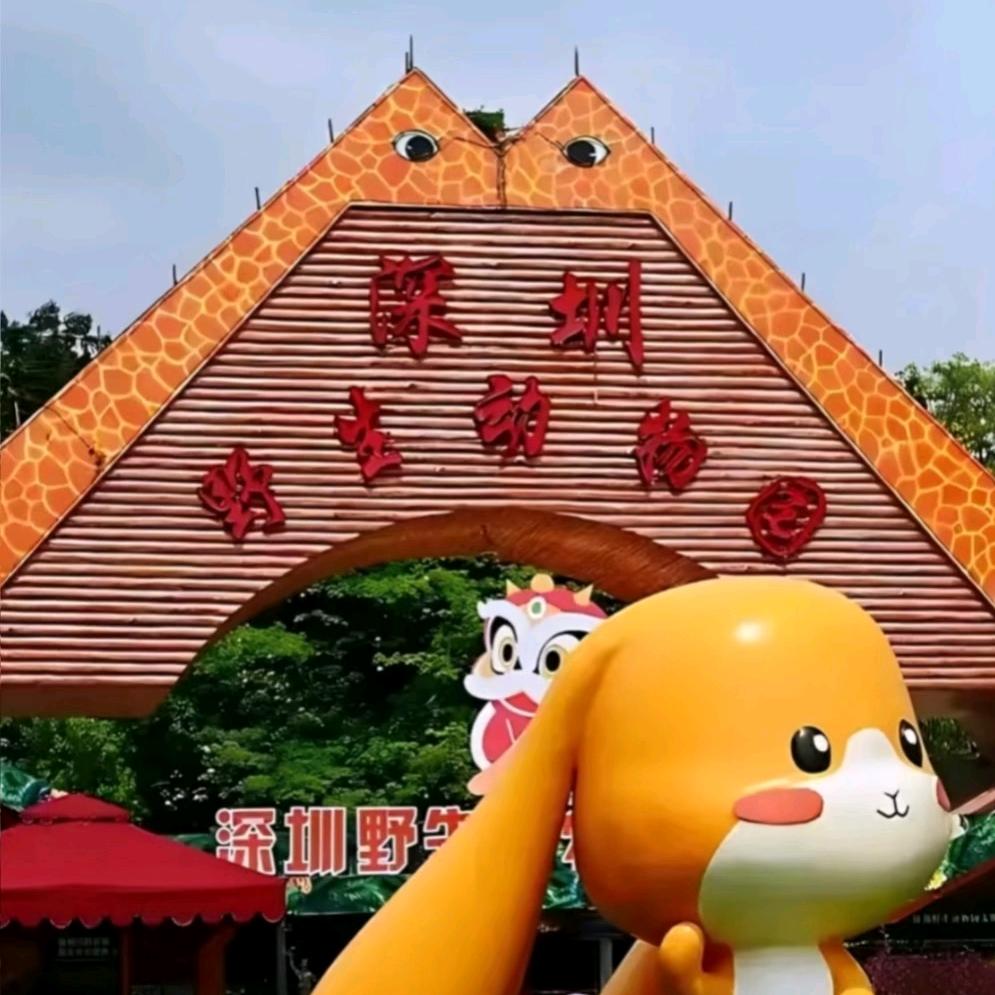深圳野生动物园游玩