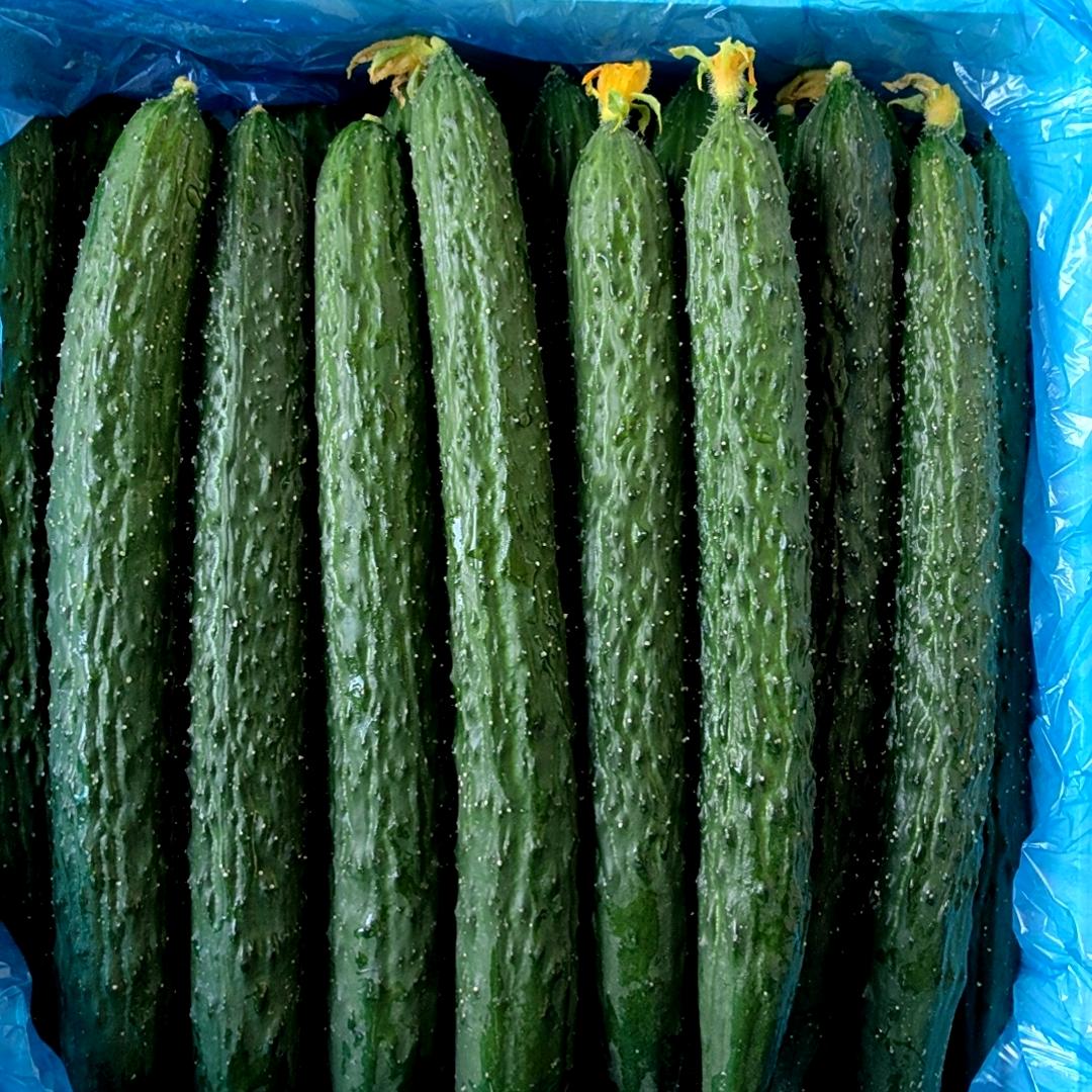 卖菜小哥