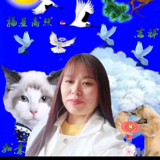 再 无 信 任
