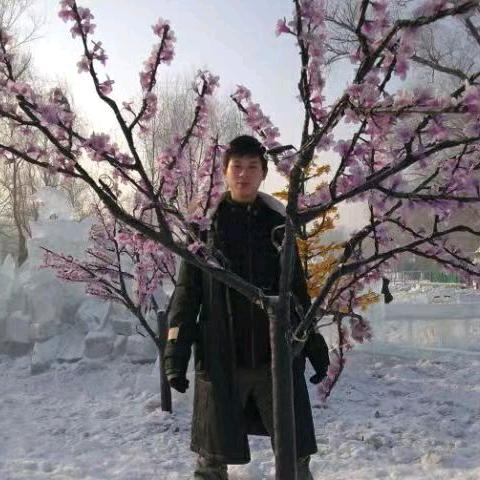 冰城之恋