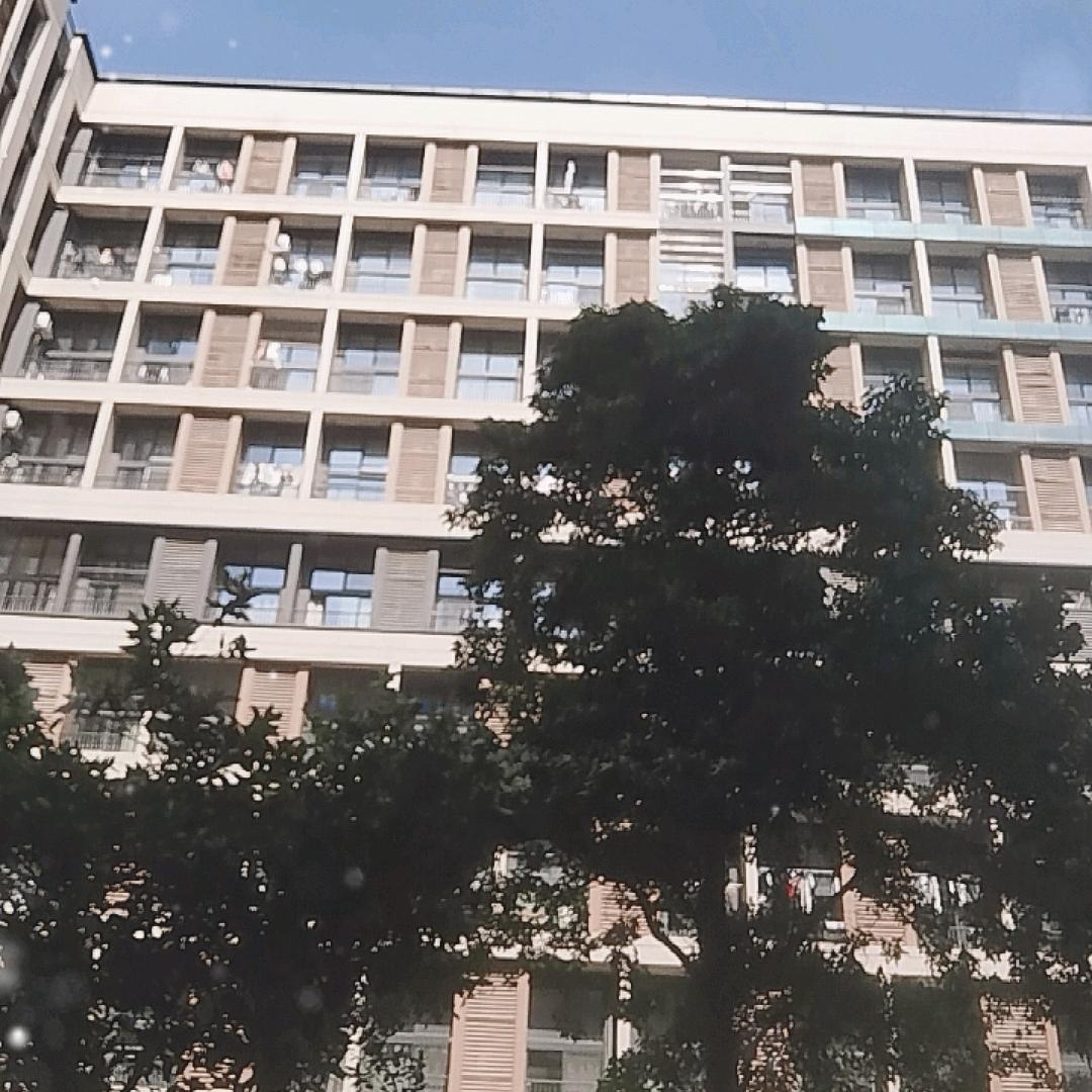 辉哥