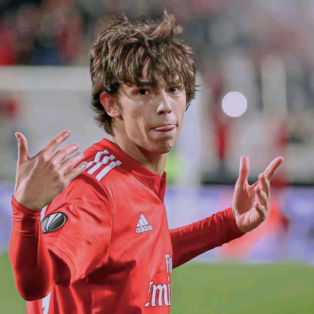 🌈五彩斑斓的鹌鹑在九鹏溪踢足球