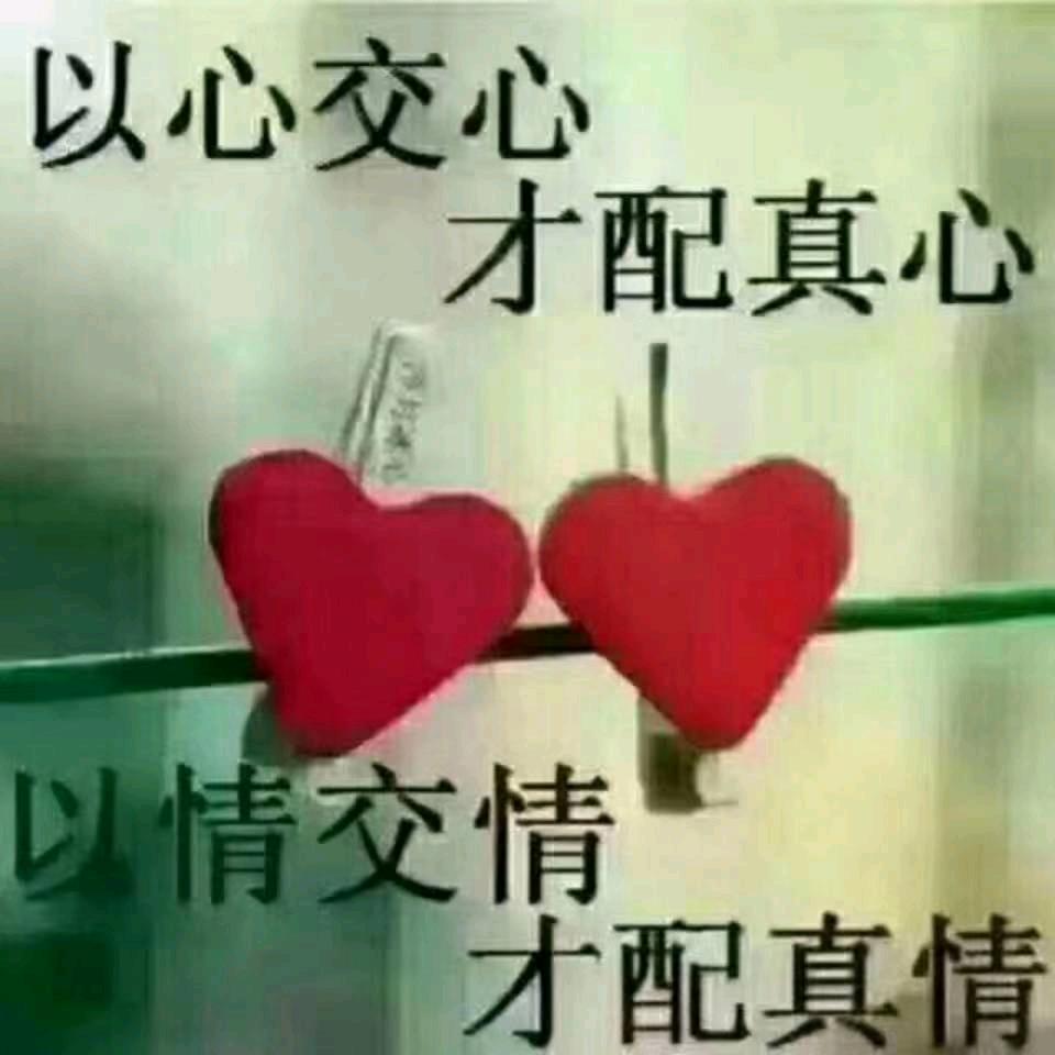 登上高山飞上蓝天