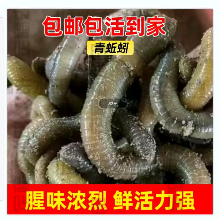 如皋蚯蚓优品