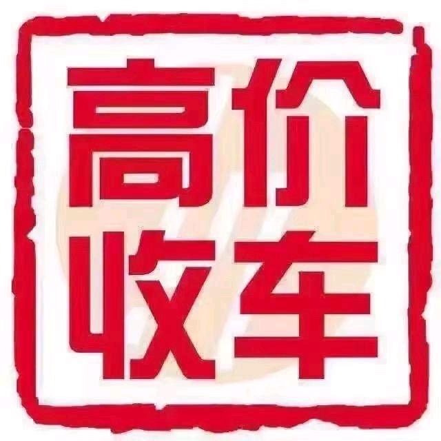 中鼎汽车