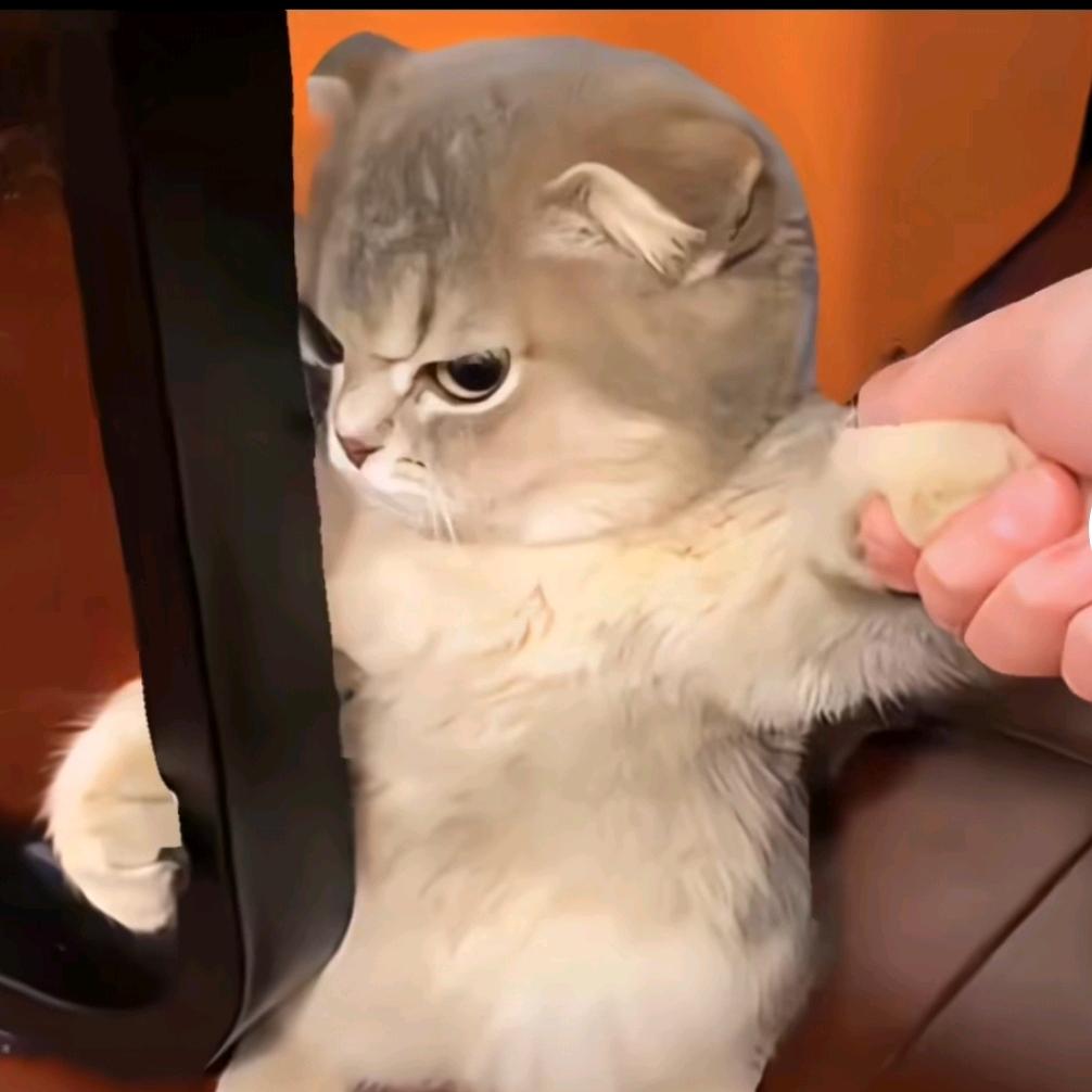 萌仔家的DIY铺子