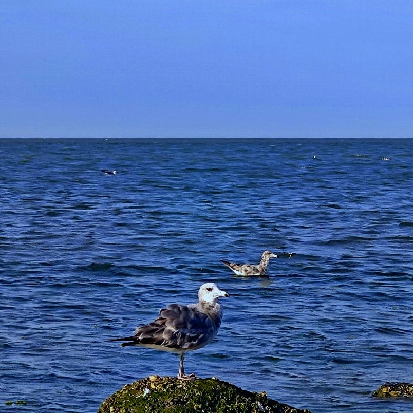 忽悠～接着忽悠～