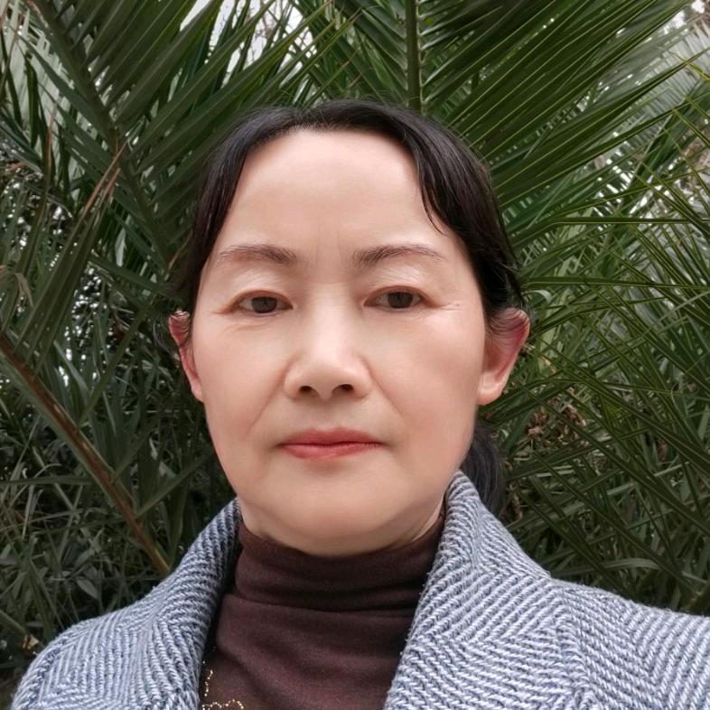 美好向往