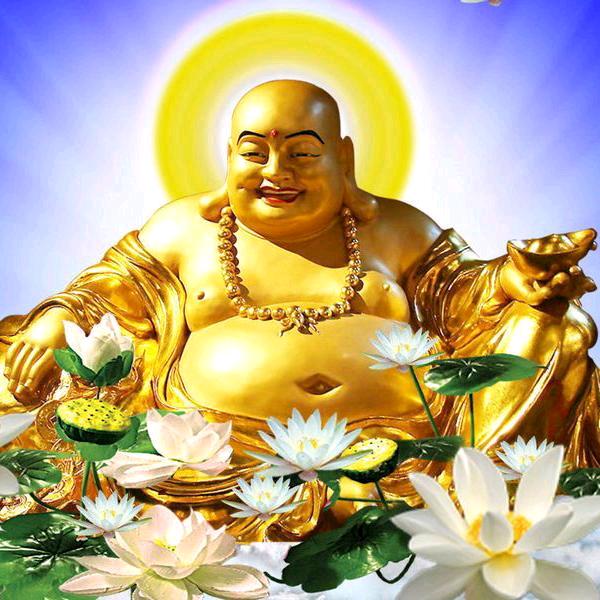 ✨开心老头⚡️四处看风景✨🤪