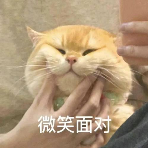 🐴谭笑🦌风云❤️