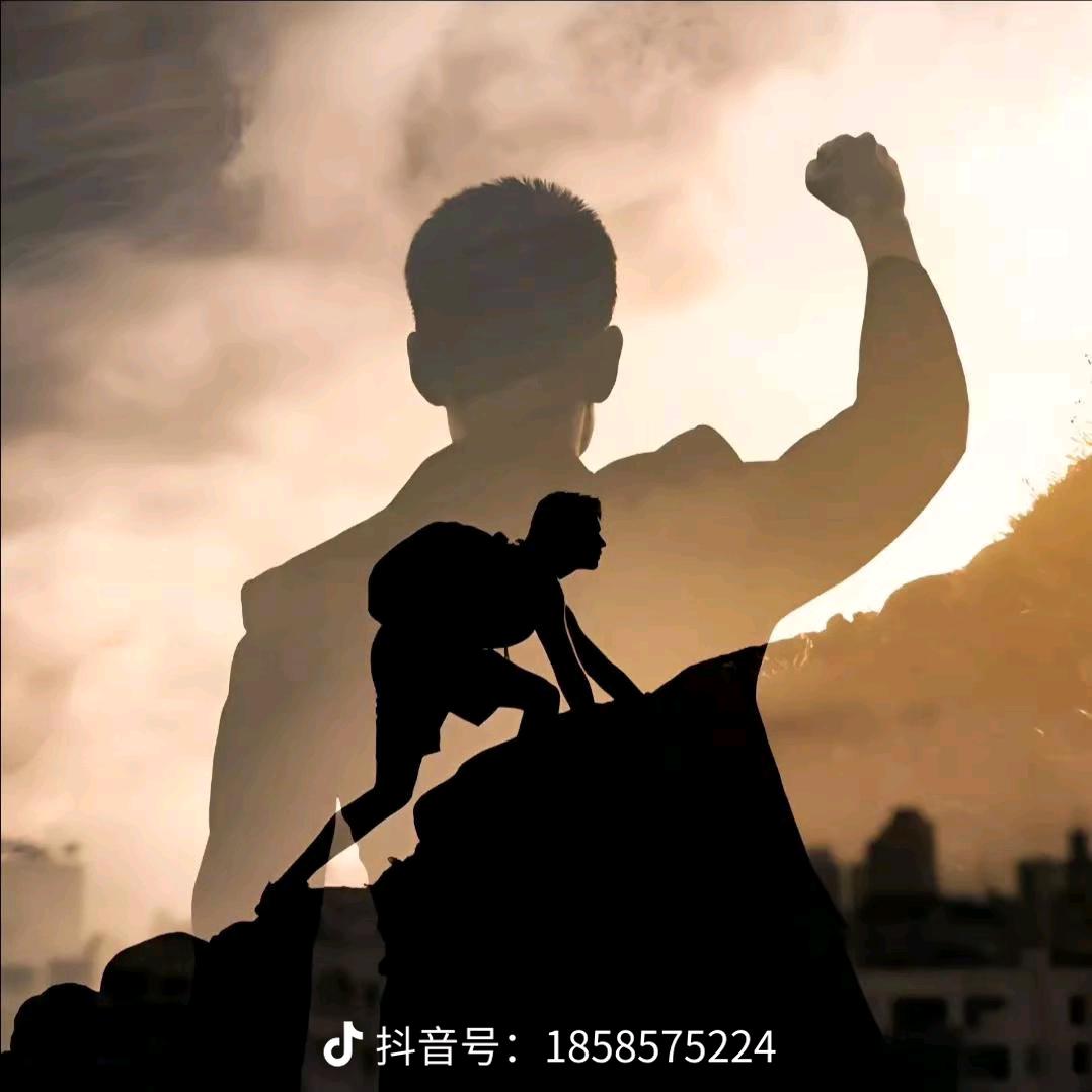 不苟言笑的哈士奇