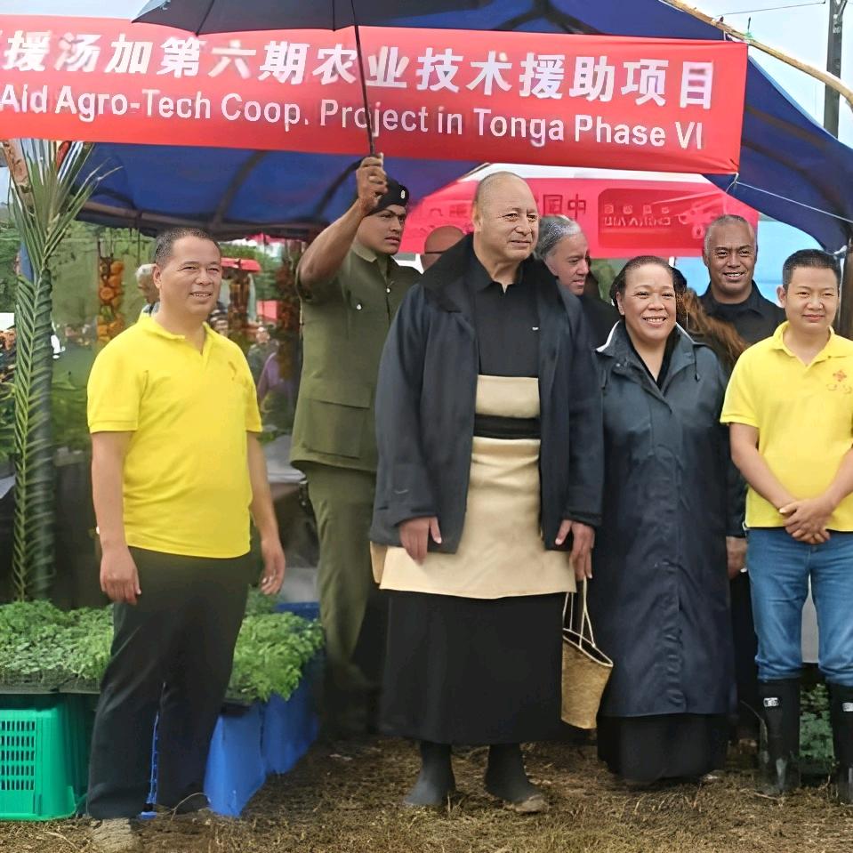 岛国老唐在慈利
