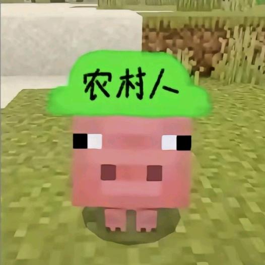🐷🐷