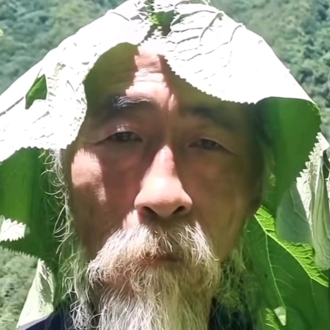 Aaa香辣老道士（耍疯版）