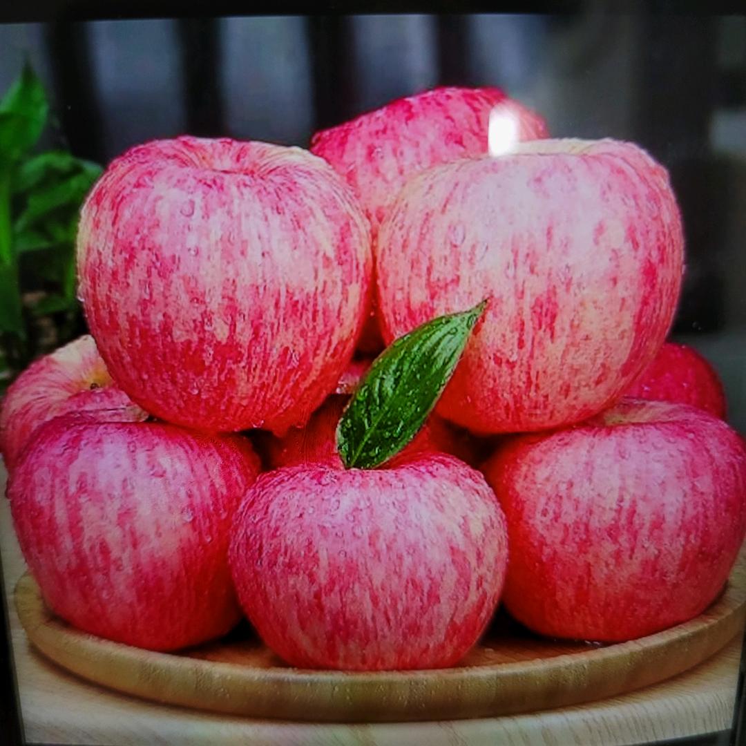 @平安静好🍎🌸
