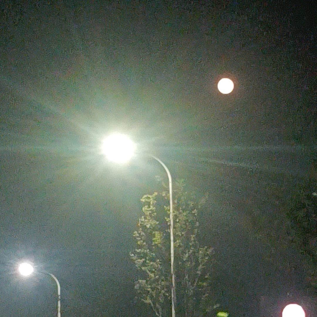 东哥1/3