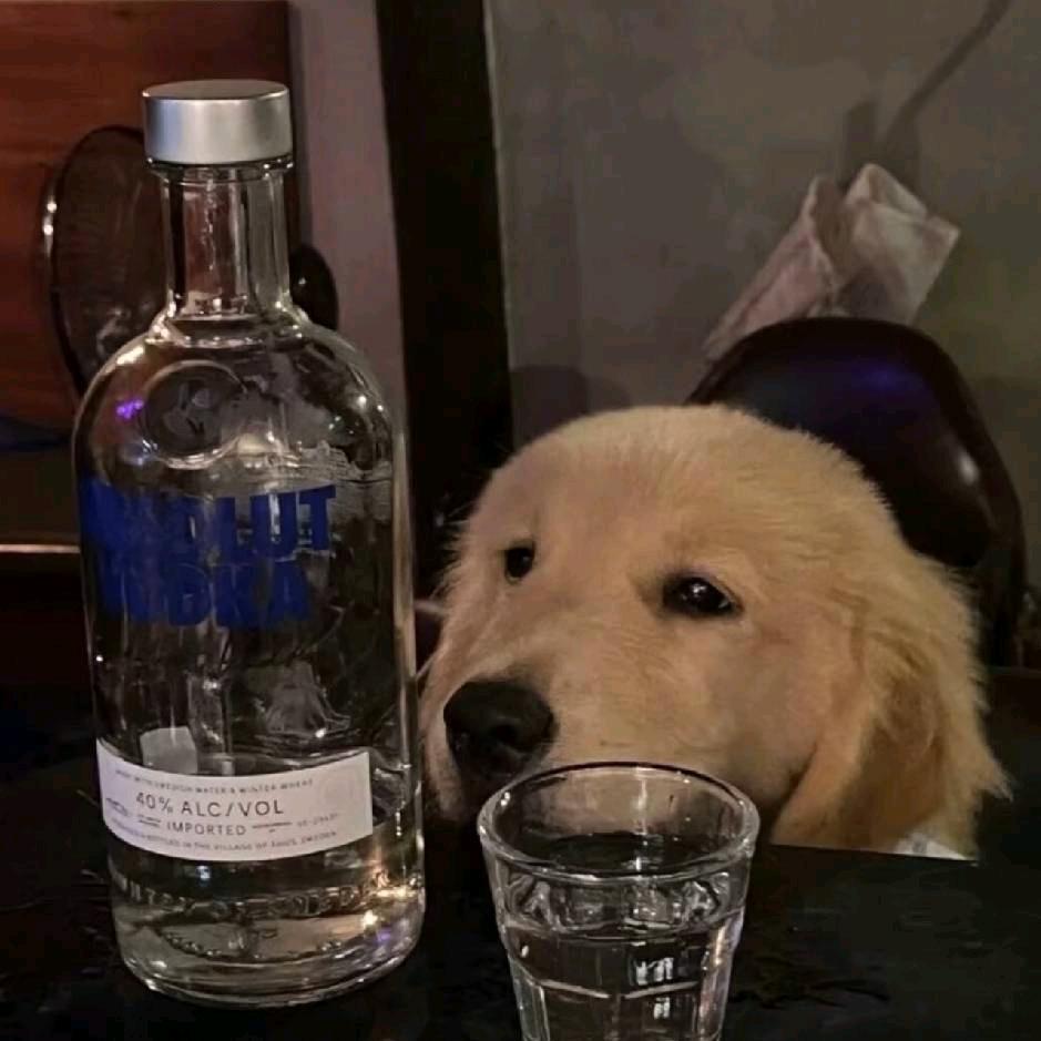 崇左小晗