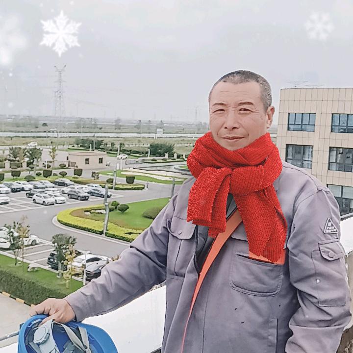 歌在飞