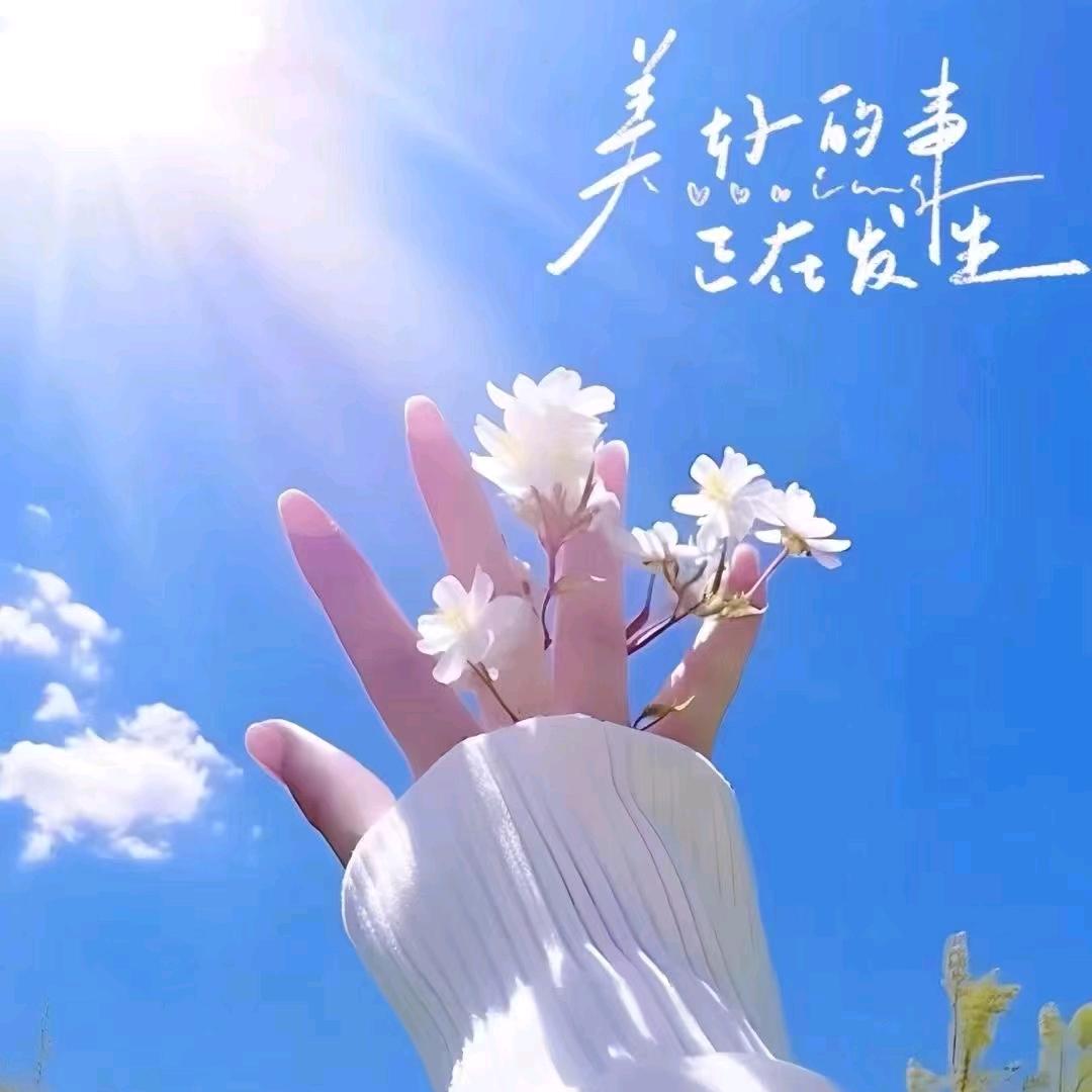 @ 张♥张