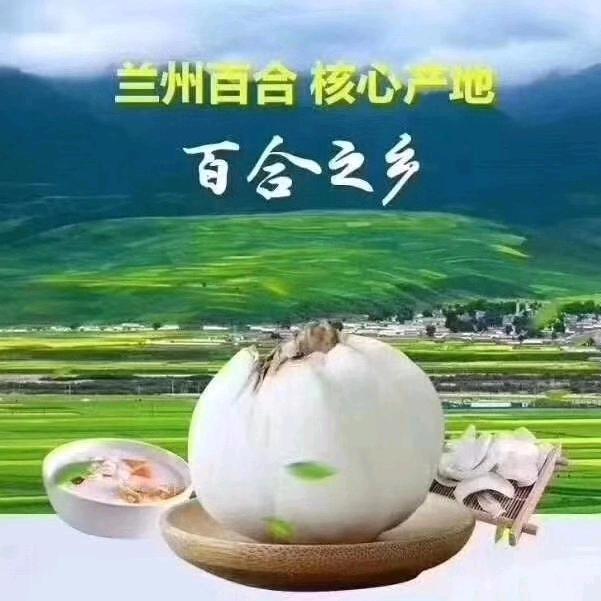洋芋菜